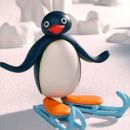 pingu