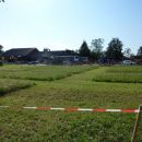  Evropsko prvenstvo v ročni košnji  2011