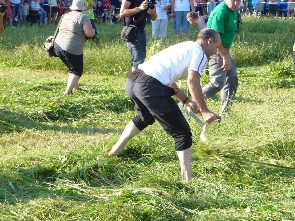  Evropsko prvenstvo v ročni košnji  2011 - foto povečava