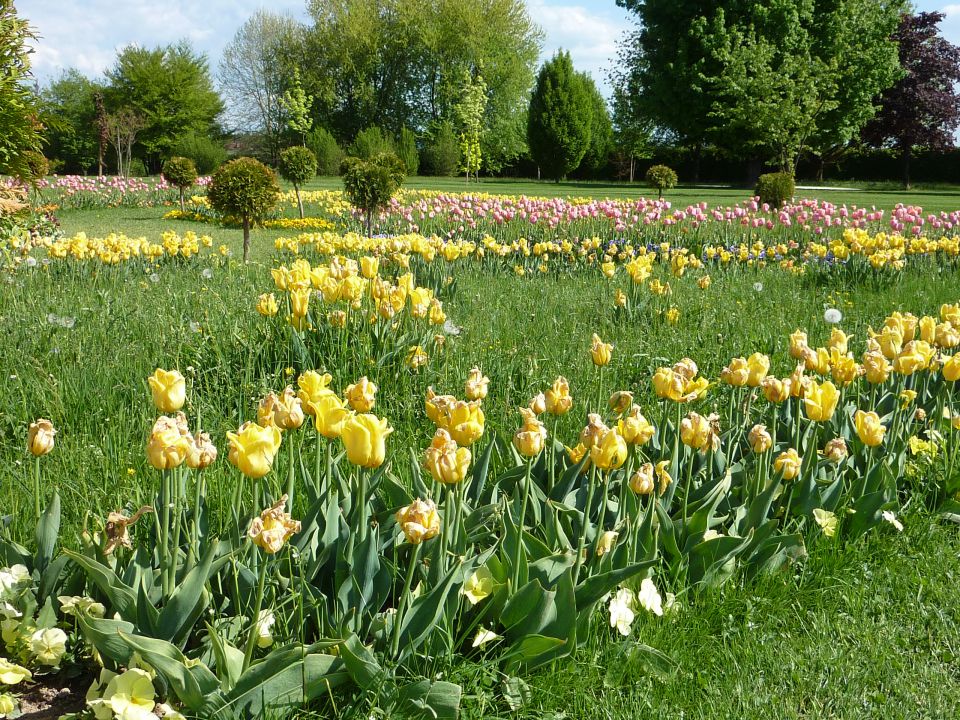 Arboretum Volčji Potok - foto povečava