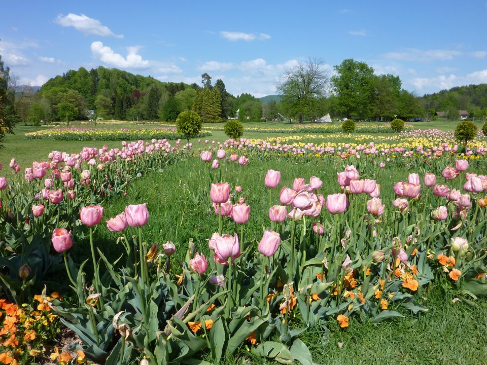 Arboretum Volčji Potok - foto povečava