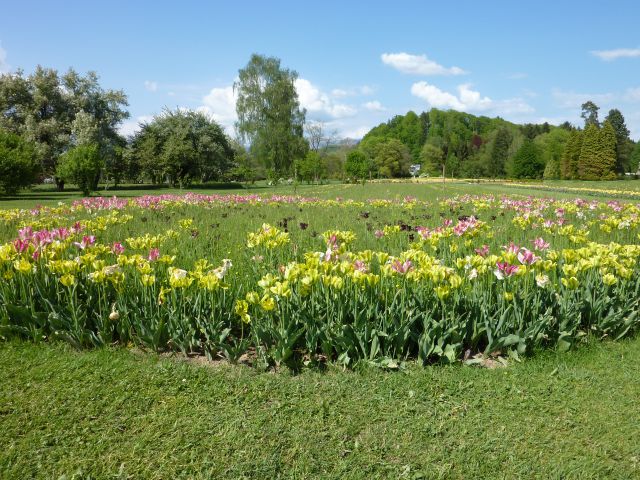 Arboretum Volčji Potok - foto
