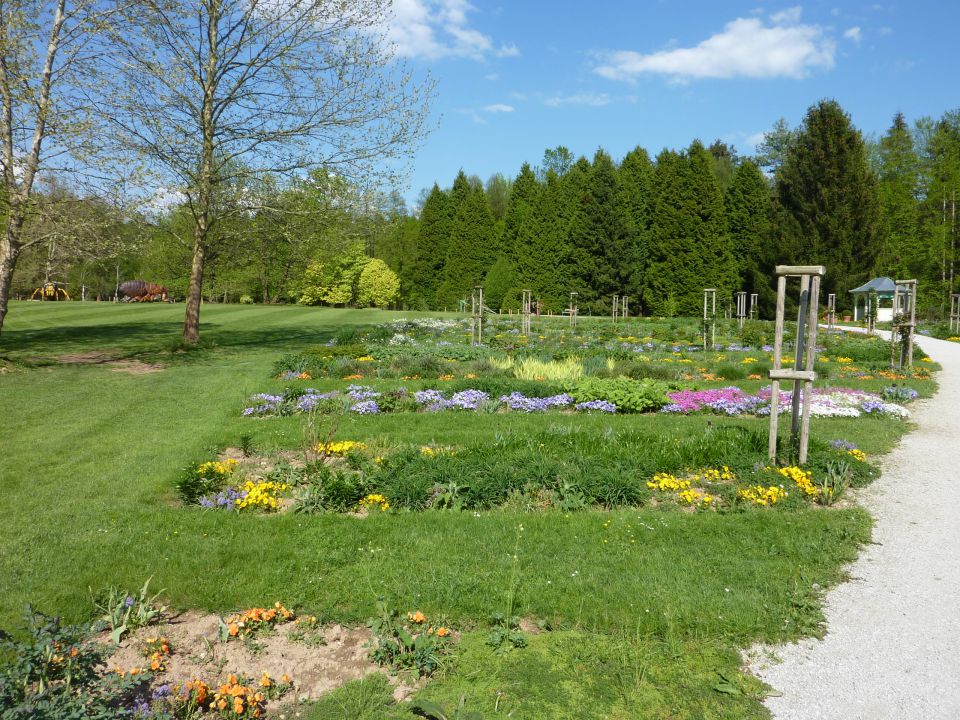 Arboretum Volčji Potok - foto povečava