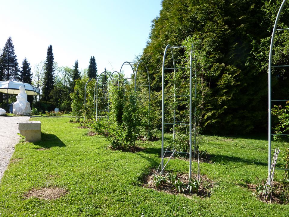 Arboretum Volčji Potok - foto povečava