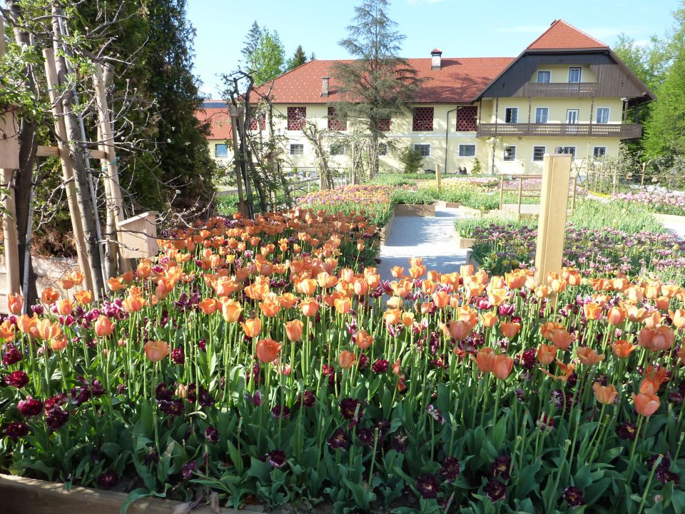 Arboretum Volčji Potok - foto povečava
