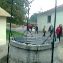 izlet v lipico 