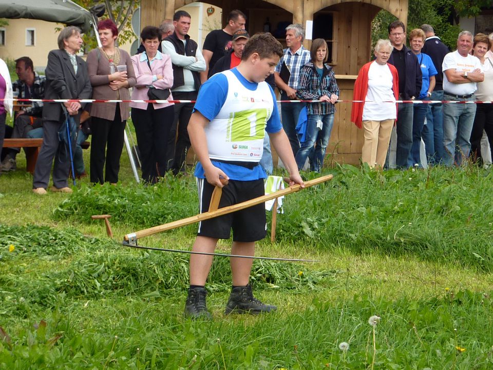 Društvo  koscev  slovenije  2012 - foto povečava