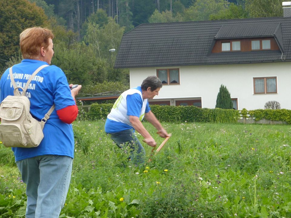 Društvo  koscev  slovenije  2012 - foto povečava