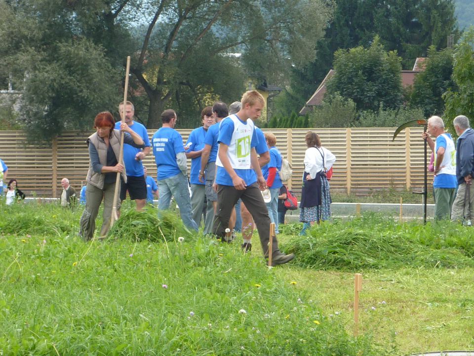 Društvo  koscev  slovenije  2012 - foto povečava