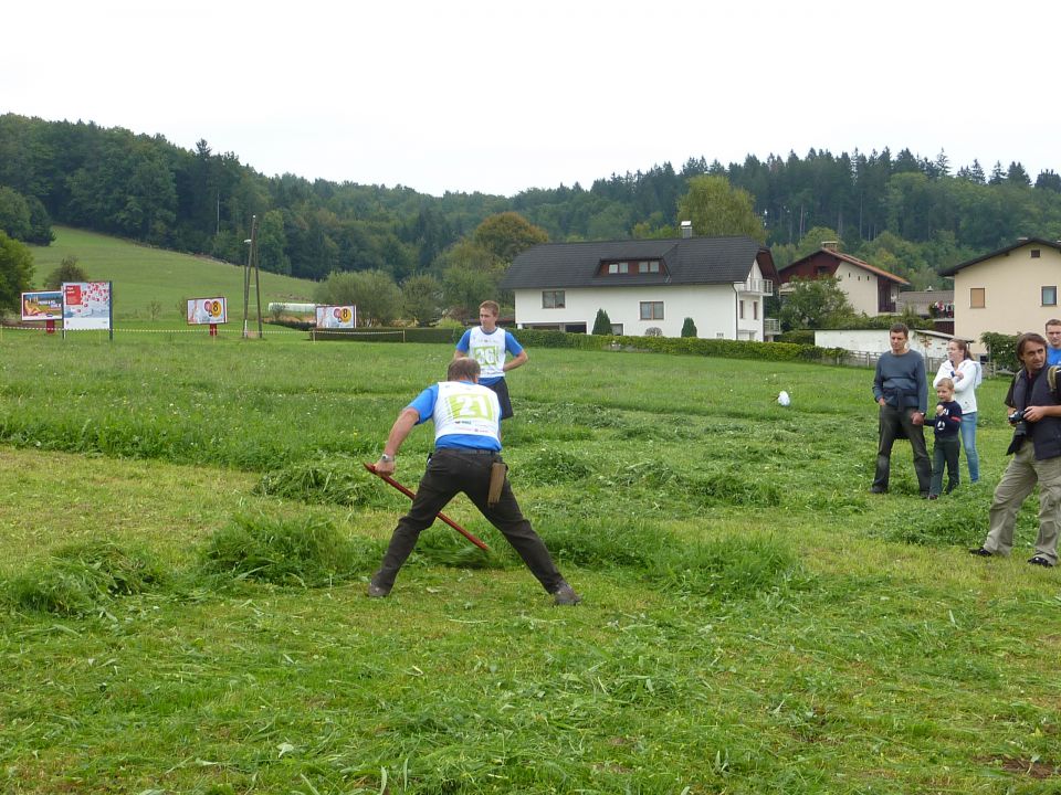 Društvo  koscev  slovenije  2012 - foto povečava