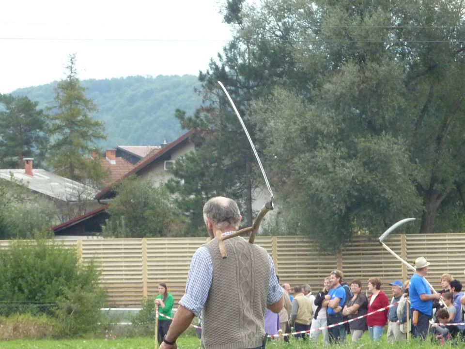 Društvo  koscev  slovenije  2012 - foto povečava