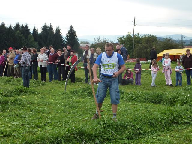 Društvo  koscev  slovenije  2012 - foto