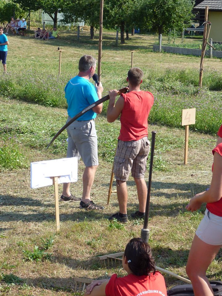  TEKMA KOSCEV, GRABLJIC IN ŠTANGARJEV 2013  - foto povečava