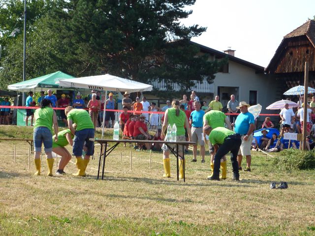  TEKMA KOSCEV, GRABLJIC IN ŠTANGARJEV 2013  - foto