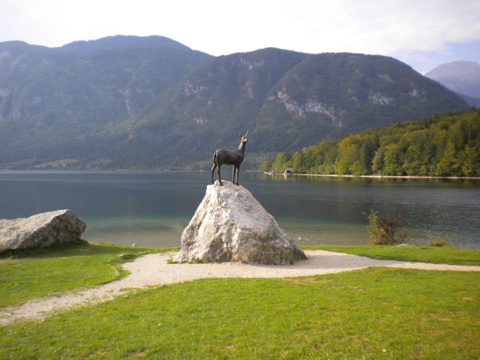 Bohinjska bistrica  in prekmurje 2012 - foto povečava