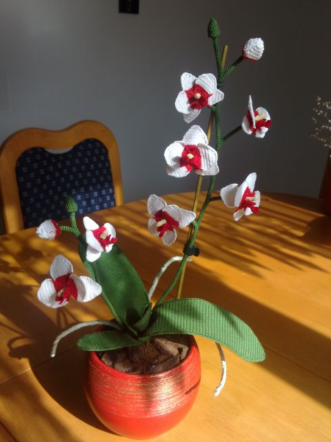 Kvačkana orhideja 2