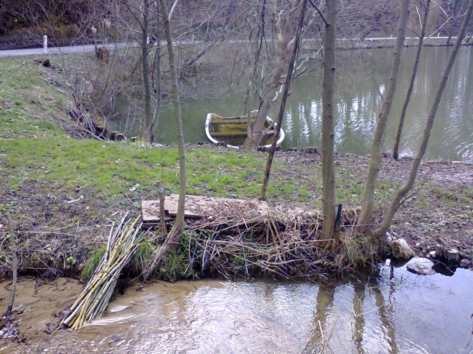 RIBNIK-BRESTANICA - foto povečava