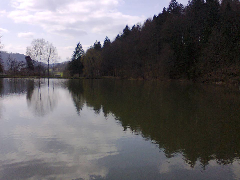 RIBNIK-BRESTANICA - foto povečava