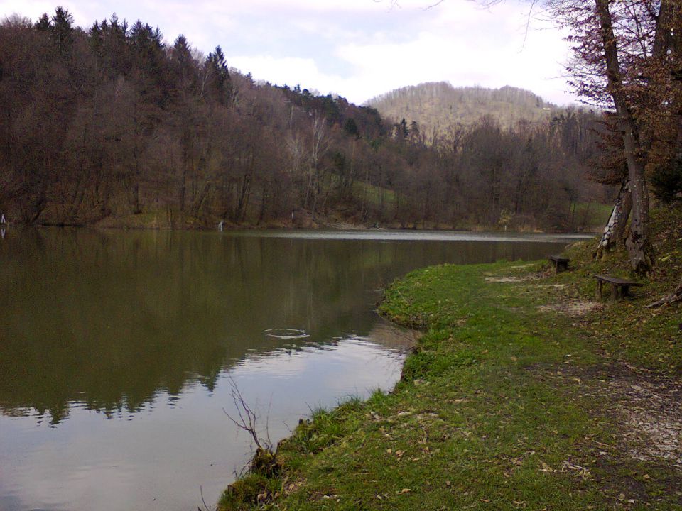 RIBNIK-BRESTANICA - foto povečava