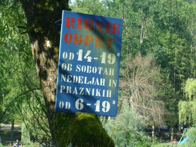 RIBNIK-BRESTANICA - foto