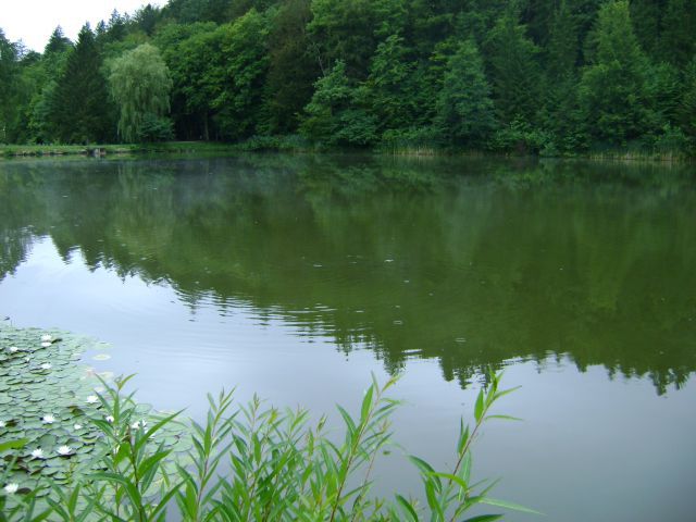 RIBNIK-BRESTANICA - foto