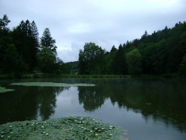 RIBNIK-BRESTANICA - foto