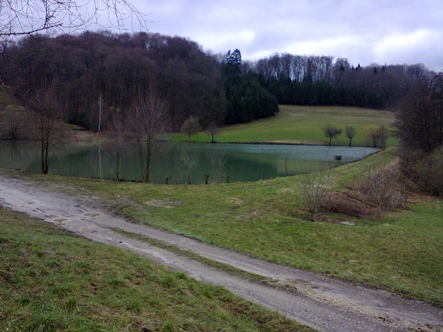 KARLOVČE-ribnik-SLIVJE - foto
