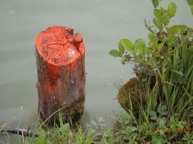 KARLOVČE-ribnik-SLIVJE - foto
