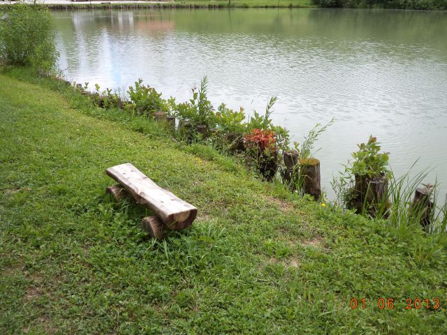KARLOVČE-ribnik-SLIVJE - foto