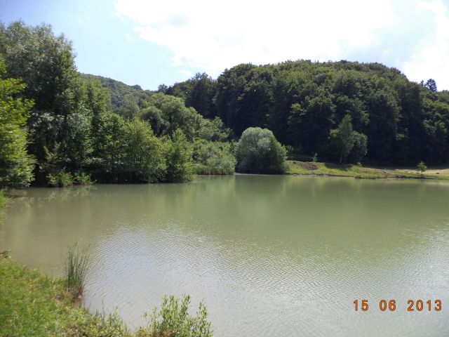 KARLOVČE-ribnik-SLIVJE - foto