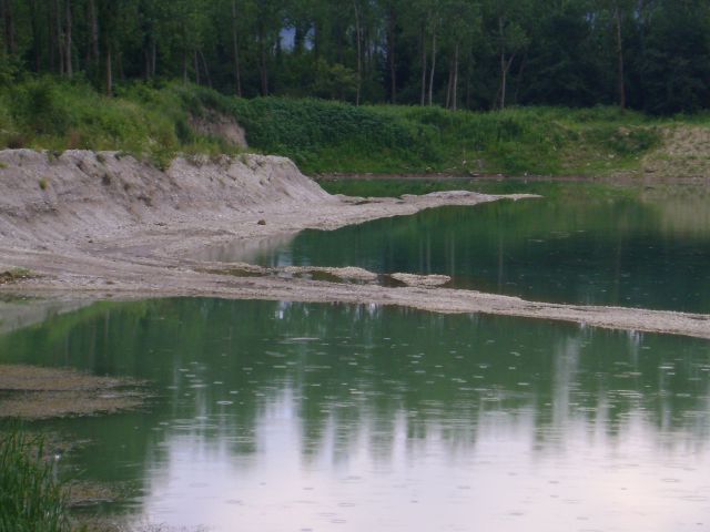 Vrbina-ribnik-brežice - foto povečava