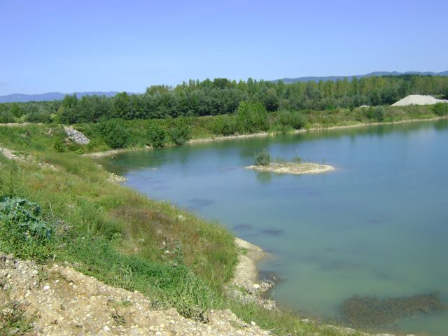 Vrbina-ribnik-brežice - foto povečava