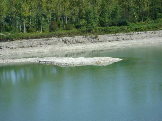 Vrbina-ribnik-brežice - foto povečava