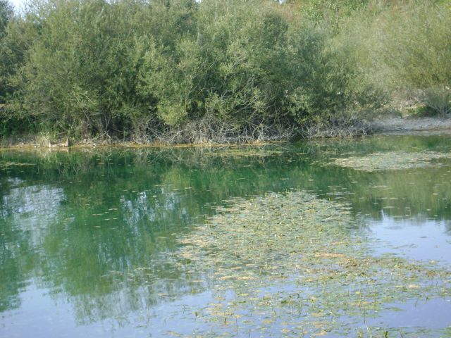 Boršt-ribnik-krška vas - foto povečava