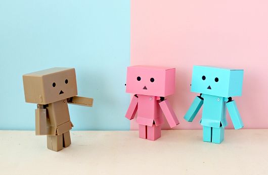 Danbo and Me - foto povečava