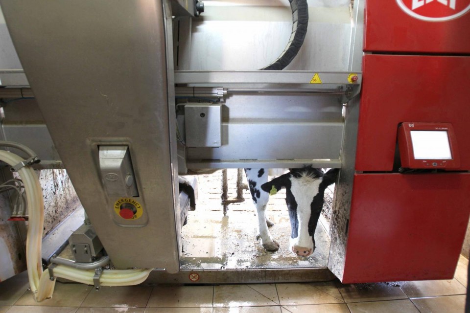 Lely Robot - foto povečava