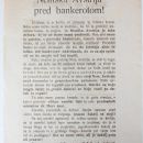 Volksabstimmung 1920 flyers