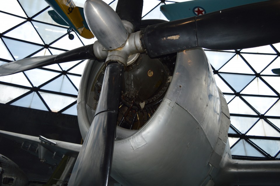 P-47M Thunderbolt - foto povečava