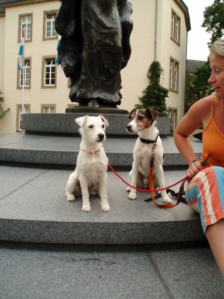 Spomin na Luxemburg