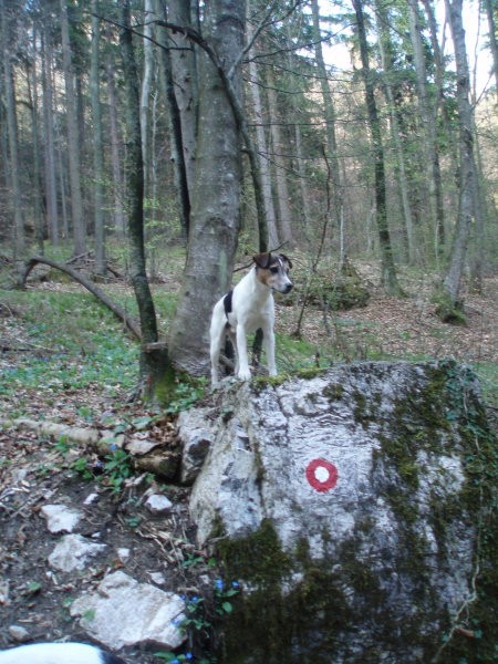 Velikonočni vikend 07 - foto povečava