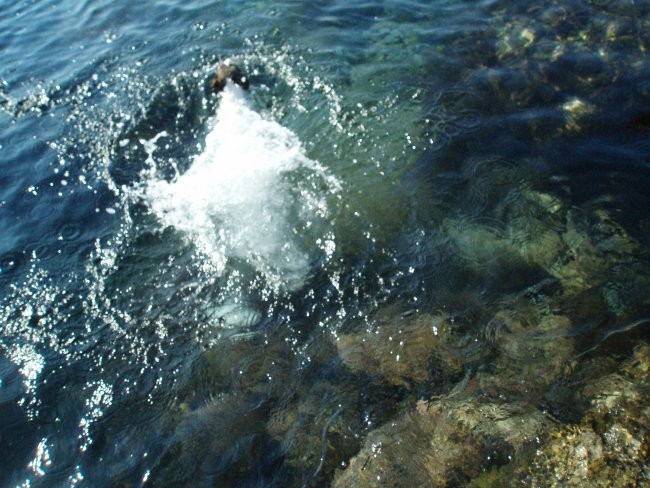 Morje, 2007 - foto povečava