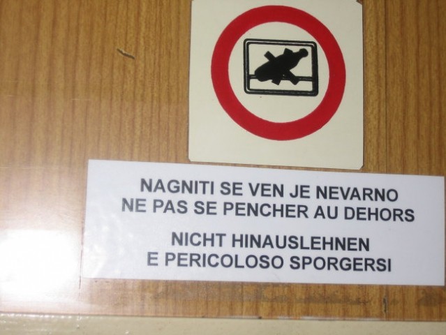 Debeli r-tič.. - foto