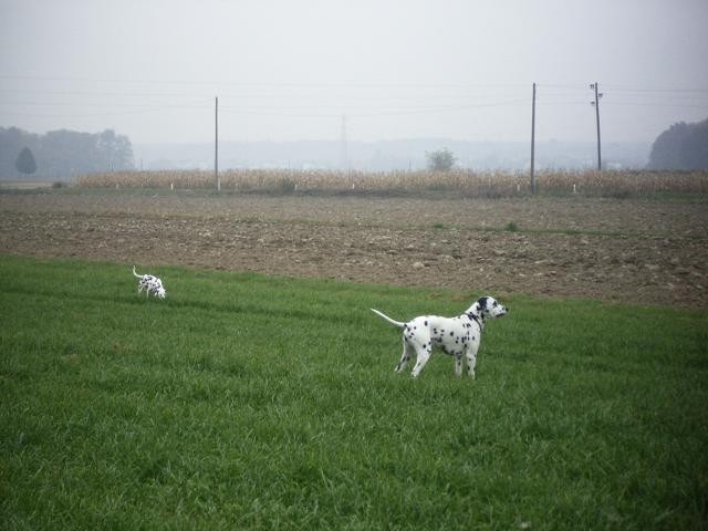 Johny & Very-november,december2005 - foto povečava