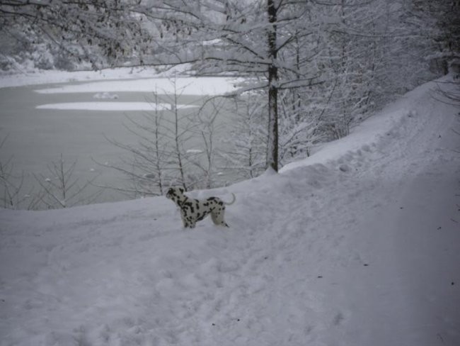 Johny & Very-november,december2005 - foto povečava