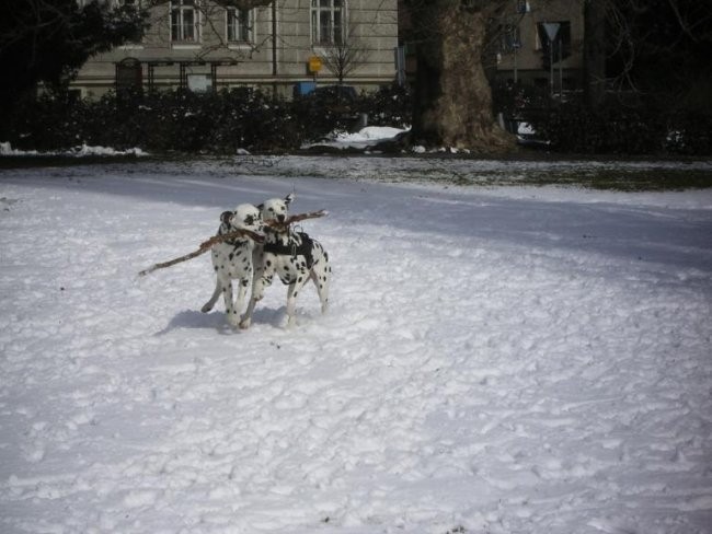 Marec2006 - foto povečava