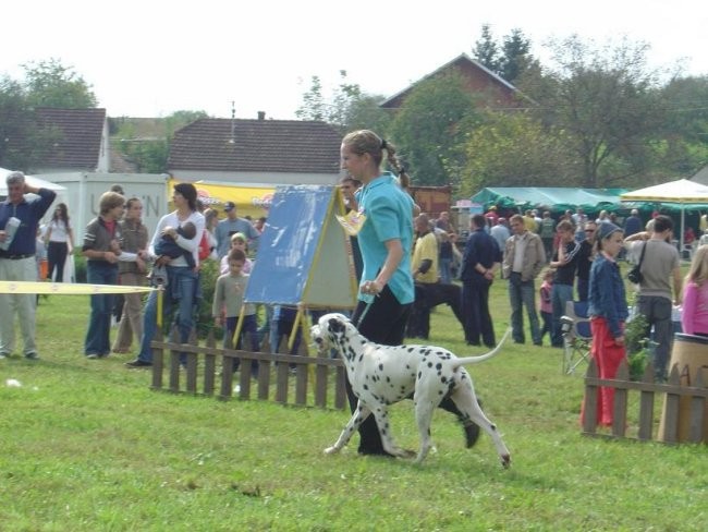 CAC ĐAKOVO:J & J