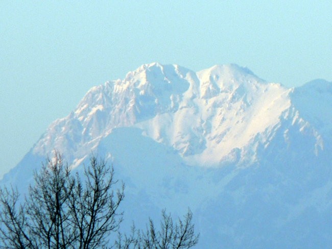 Mešano s sprehoda - foto povečava