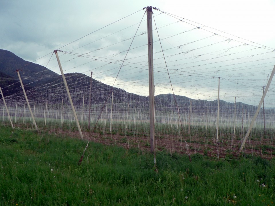 2. maj 2009 - Koroška & Štajerska - foto povečava