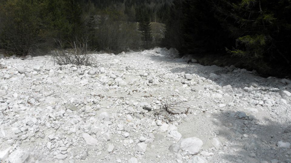 Del Gorenjske, severnoprimorske in Idrijske - foto povečava