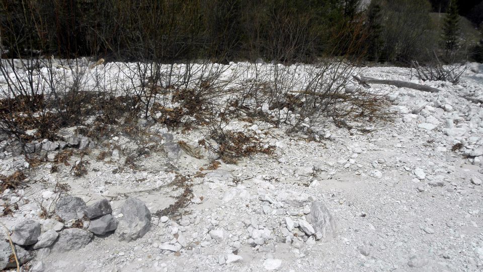 Del Gorenjske, severnoprimorske in Idrijske - foto povečava